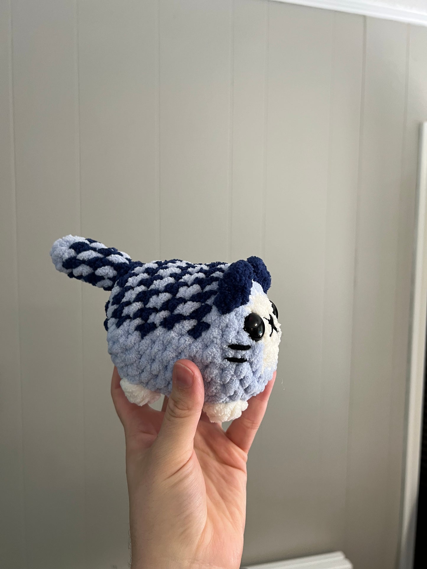 Kitten