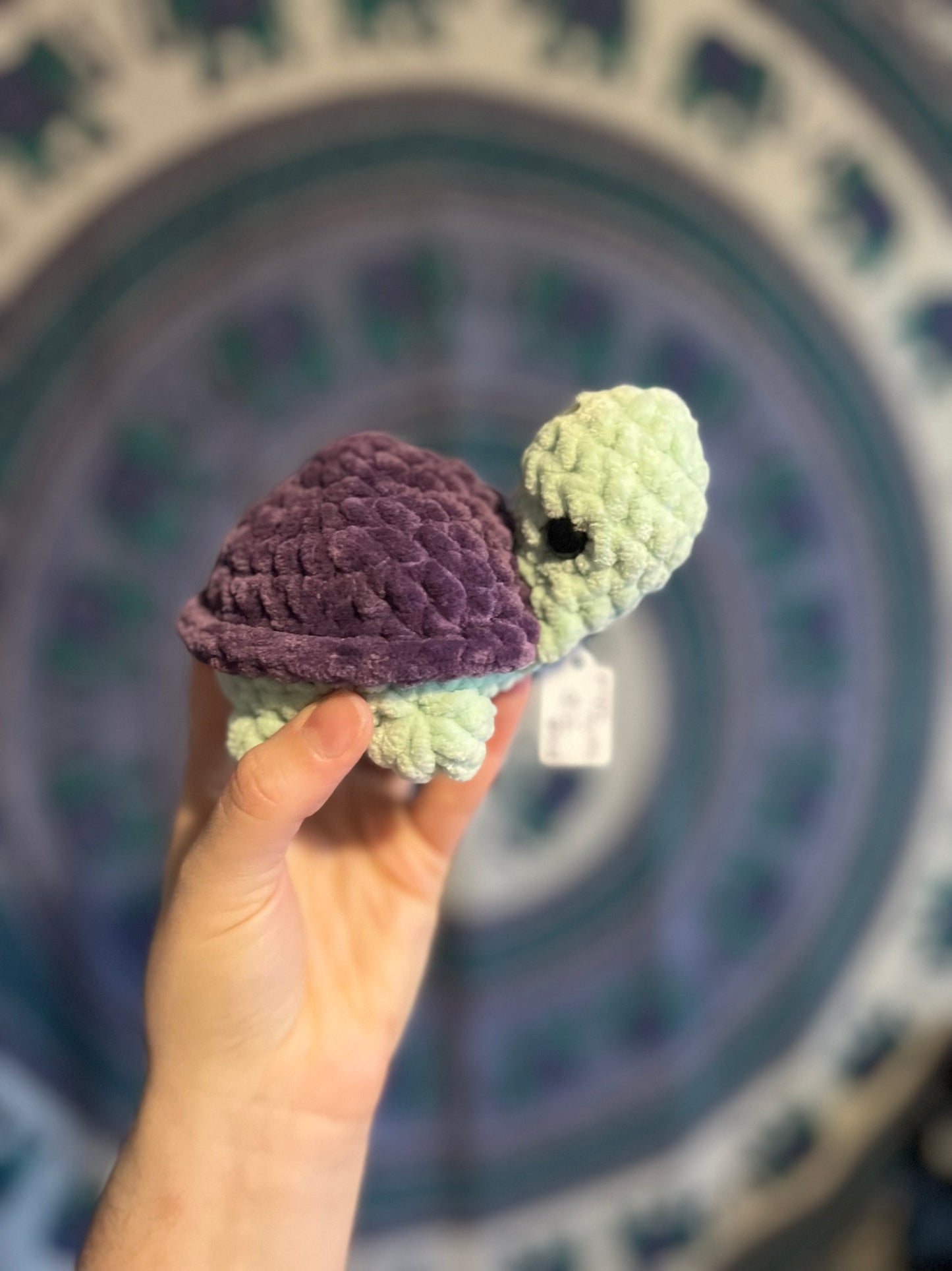 Purple mini turtle
