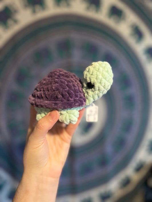 Purple mini turtle