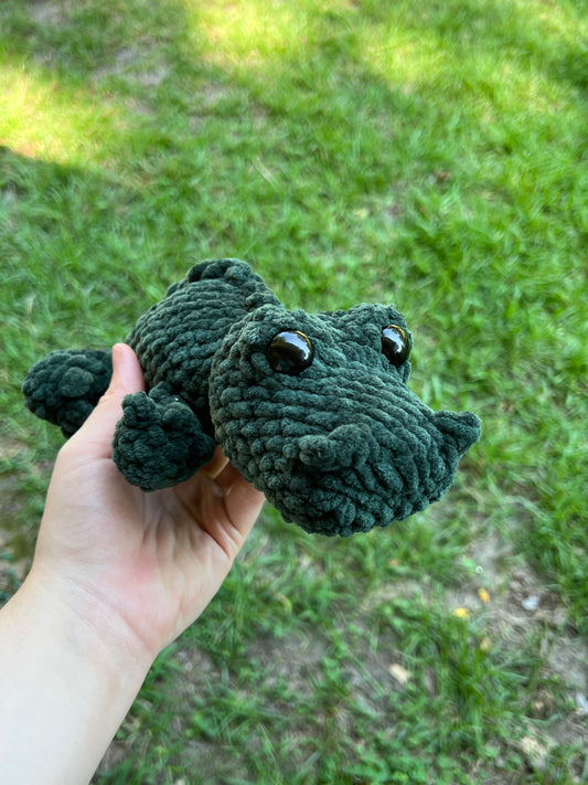 Alligator